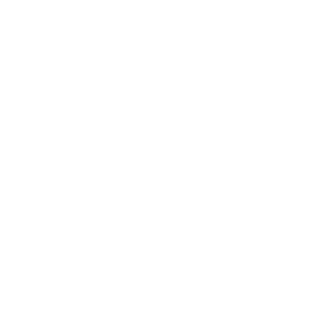 concept on - clients_silver vixnes